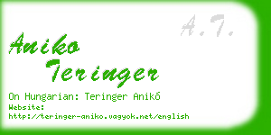 aniko teringer business card